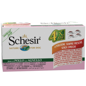 Schesir cane lattina in...
