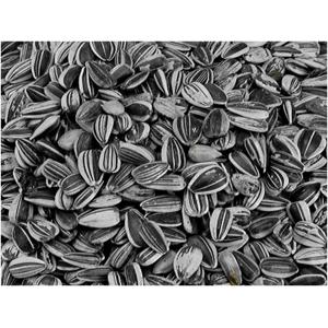 Vadigran Semi di Girasole Large 1kg