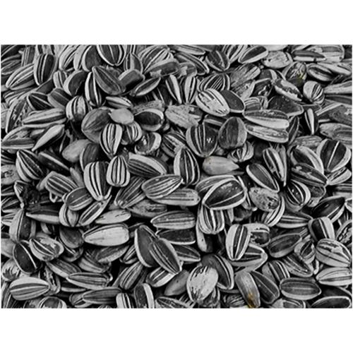 Vadigran Semi di Girasole Large 1kg