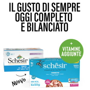 Schesir Gatto Tonnetto in... 2