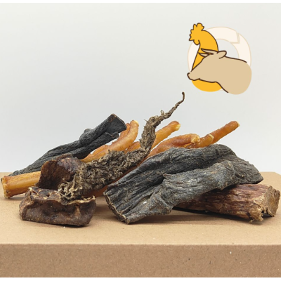 Nutrigene IMasticotti Mix di Carne...