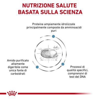 crocchette composizione royal canin anallergic