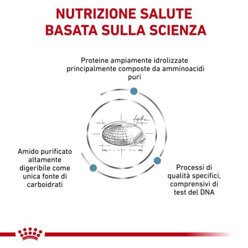crocchette composizione royal canin anallergic