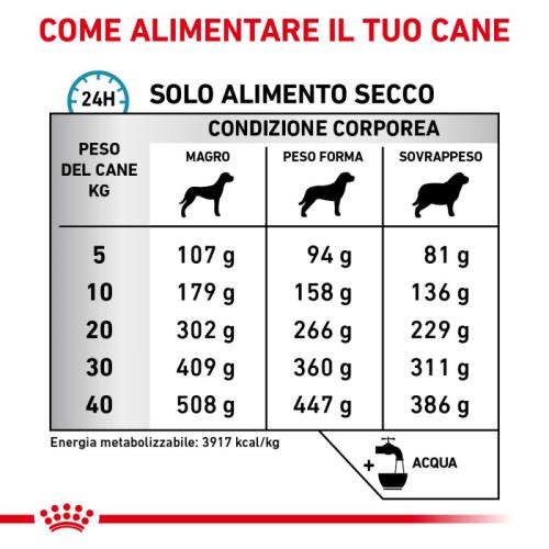 Royal Canin Cane Anallergic