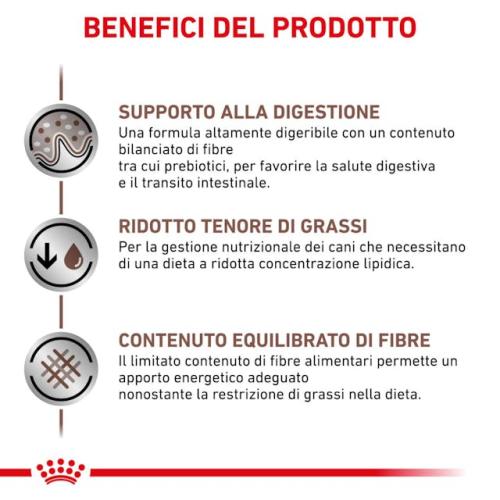 Royal Canin Cane Gastrointestinal Low Fat