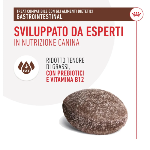 Royal Canin Cane Snack Gastrointestinal 230 gr