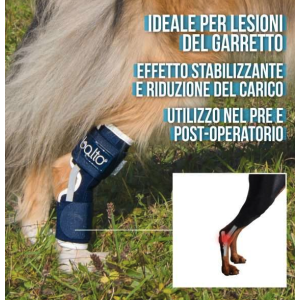 Balto BT HOCK Tutore per Garretto 2