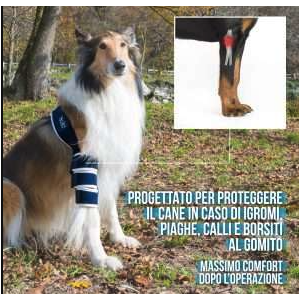 Balto BT Soft Tutore per gomito destro cane 2