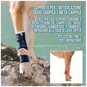 Balto BT SPLINT tutore per carpo e tarso cane 2