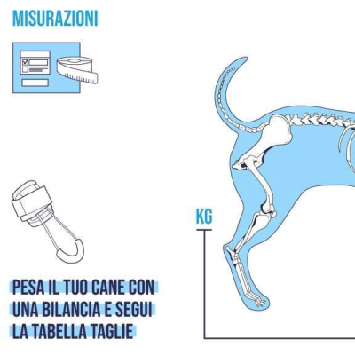 BALTO BT PULL per iperflessione delle falangi tg. XXS