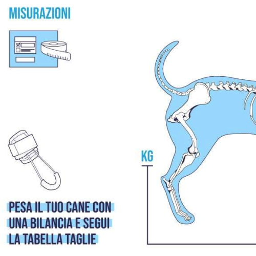 BALTO BT PULL per iperflessione delle falangi tg. XXS