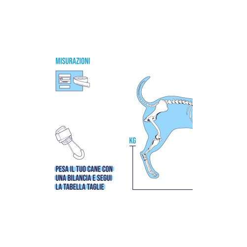 BALTO BT PULL per iperflessione delle falangi tg. L