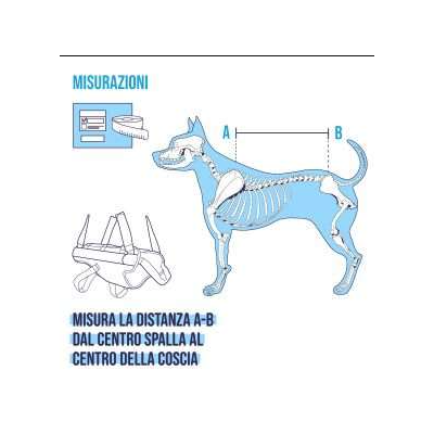 misure BALTO BT BODY LIFT corpetto integrale con maniglia tg. L (50 - 59 cm)