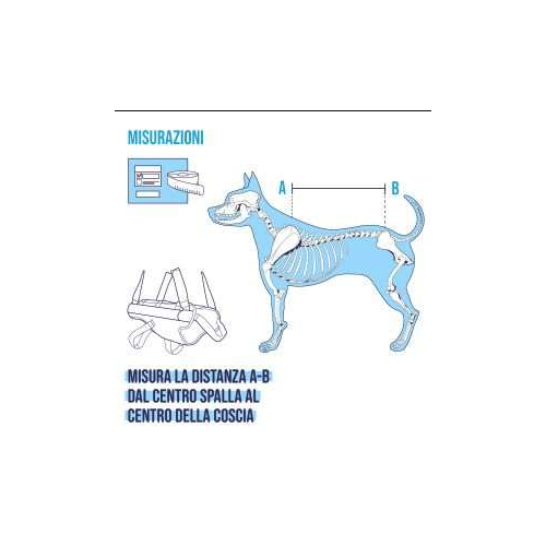 misure BALTO BT BODY LIFT corpetto integrale con maniglia tg. L (50 - 59 cm)