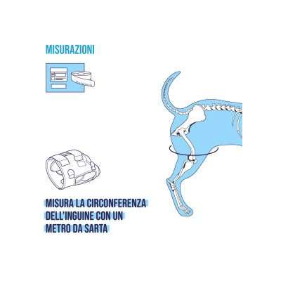 Balto BT Life tutore per cani per la displasia dell'anca