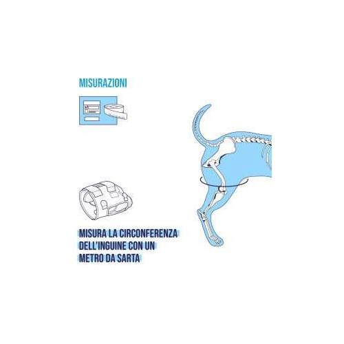 Balto BT Life tutore per cani per la displasia dell'anca