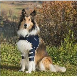 Balto BT LUX tutore per la stabilizzazione della spalla 2