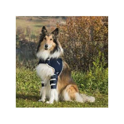 Balto BT LUX tutore per la stabilizzazione della spalla