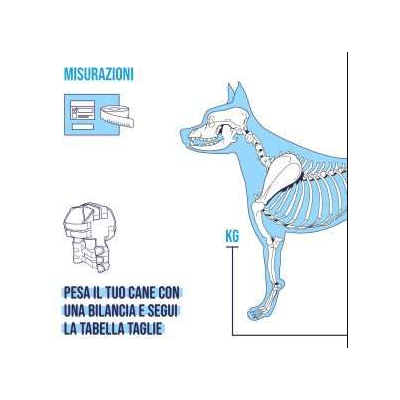 Balto BT LUX tutore per la stabilizzazione della spalla