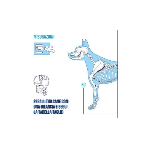 Balto BT LUX tutore per la stabilizzazione della spalla