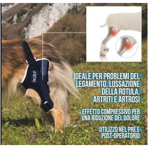 Balto BT JUMP tutore per ginocchio sinistro cane 2