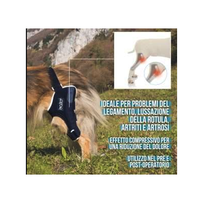 Balto BT JUMP tutore per ginocchio destro cane