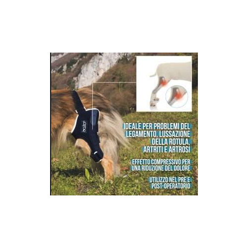Balto BT JUMP tutore per ginocchio destro cane