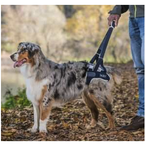 Balto BT UP Sospensore posteriore per cani 2