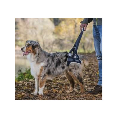 Balto BT UP Sospensore posteriore per...