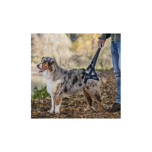 Balto BT UP Sospensore posteriore per cani