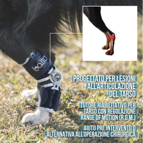 Balto BT FLEXOR Tutore per tarso con snodo graduato
