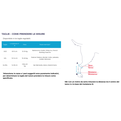 Misure per Balto BT FLEXOR Tutore per tarso con snodo graduato