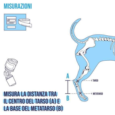 Balto BT FLEXOR Tutore per tarso con snodo graduato