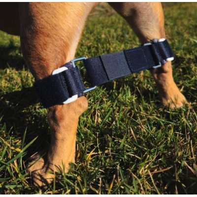 Balto BT LINK tutore per il controllo degli arti posteriori