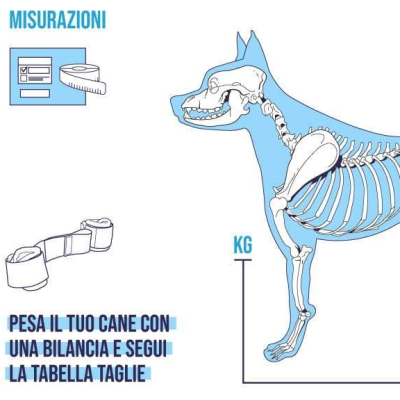 Balto BT LINK tutore per il controllo degli arti posteriori