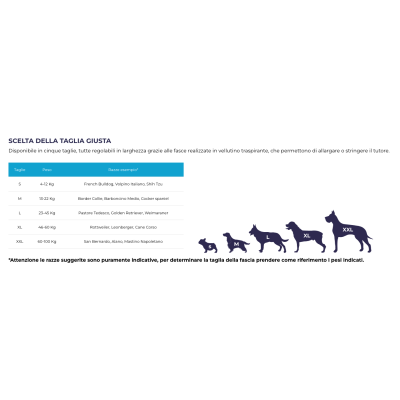 misure Balto BT LINK tutore per il controllo degli arti posteriori