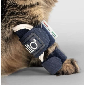 Balto BT SPLINT tutore per gatto per lassità di tarso e carpo 2