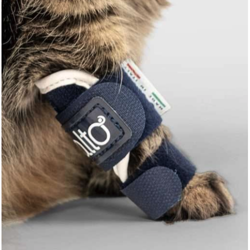 Balto BT SPLINT tutore per gatto per lassità di tarso e carpo