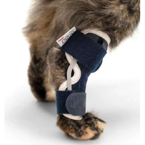 Balto BT HOCK Tutore per garretto per gatto