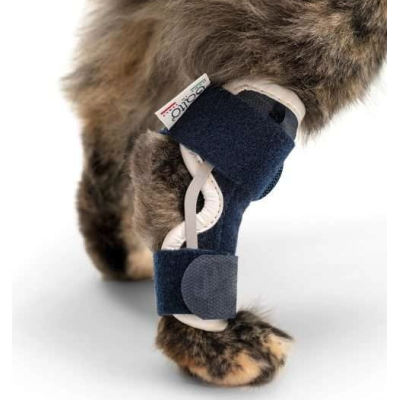 Balto BT HOCK Tutore per garretto per gatto