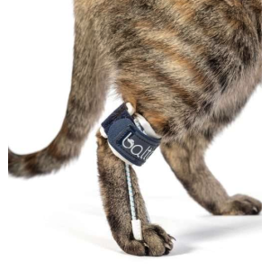 Balto BT PULL per gatti tutore per iperflessione falangi 2