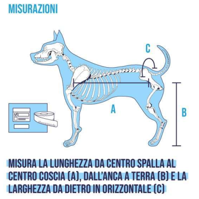 Balto Carrellino Ortopedico per cani disabili Tg L