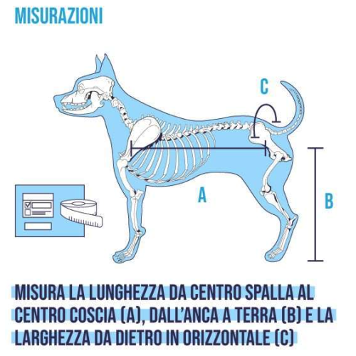 Balto Carrellino Ortopedico per cani disabili Tg L