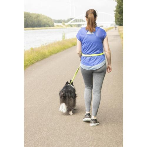 Flamingo Guinzaglio Per Jogging