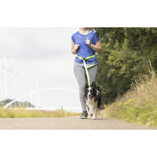 Flamingo Guinzaglio Per Jogging