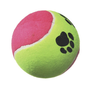 Camon cane gioco palla da...