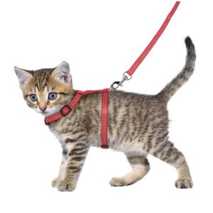 Flamingo Gatto Collare