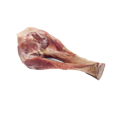 Camon cane Osso di Prosciutto tibia...