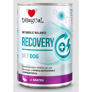 Disugual Cane diet Recovery...