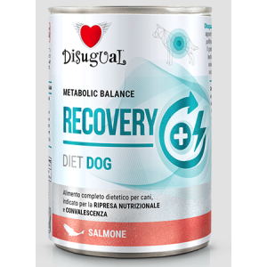 Disugual Cane diet Recovery...